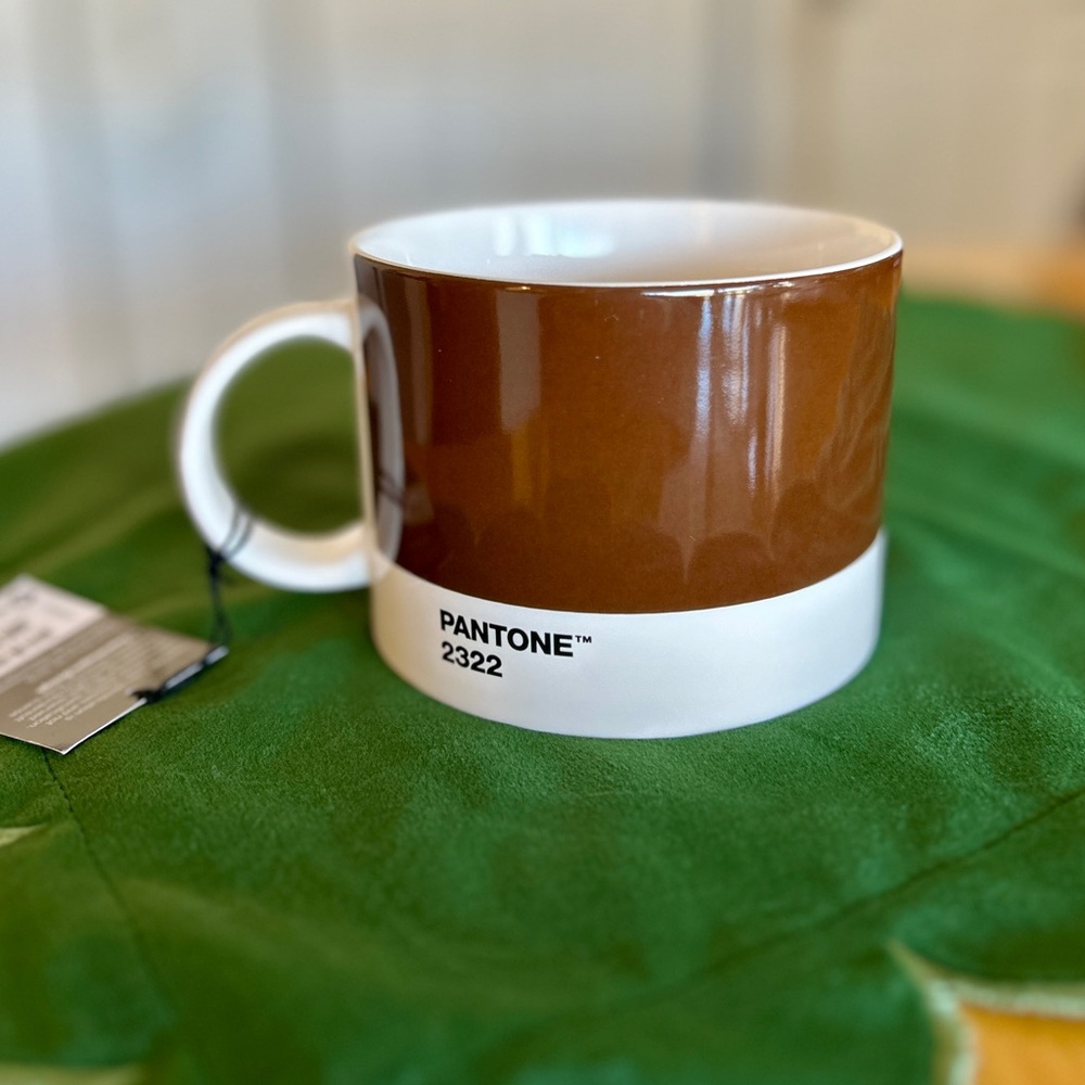 16 oz Pantone Mug by Copenhagen Design in swatch #2322